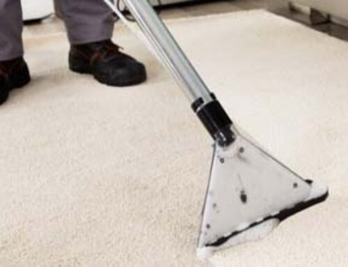 Keeping Your Carpets Pristine After Professional Cleaning Services
