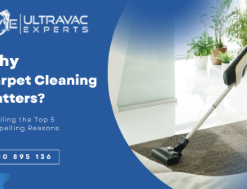 Why Carpet Cleaning Matters: Unveiling the Top 5 Compelling Reasons