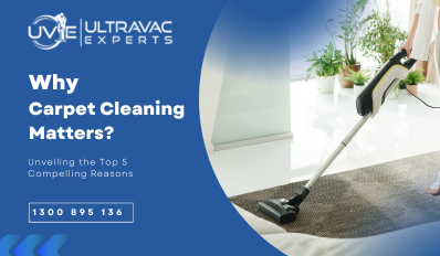 Why Carpet Cleaning Matters