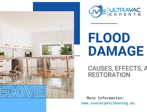 Flood Damage: Causes, Effects, and Restoration Solutions