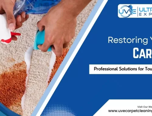From Ink to Wine: How Carpet Experts Restore Your Carpet from Tough Stains