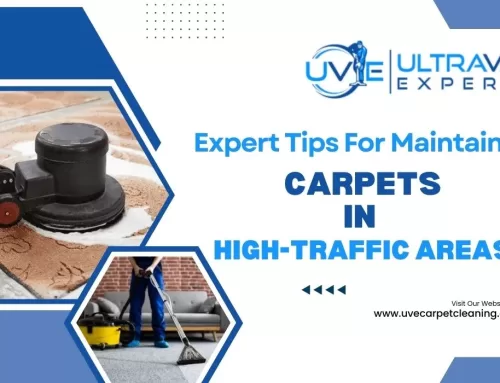 Professional Insights on Keeping Carpets Clean in High-Traffic Areas
