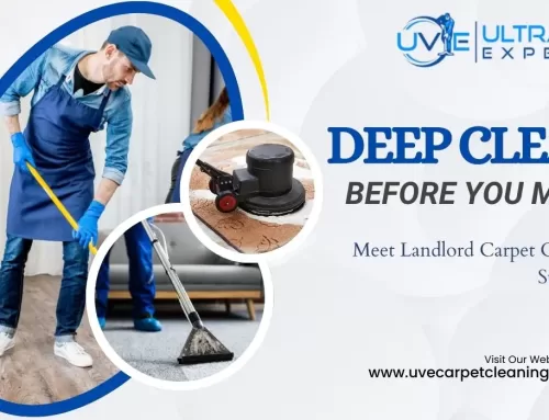 Carpet Cleaning Frequency: What Landlords Expect vs. What Tenants Do