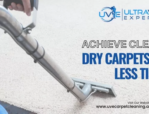 Fast-Drying Carpet Cleaning Techniques That Save Time and Energy