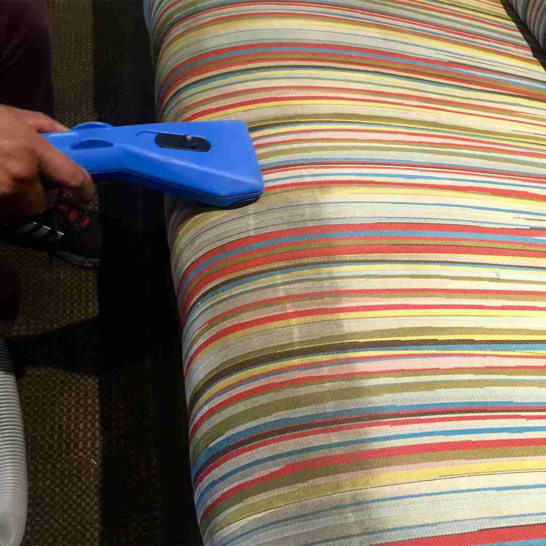 Sofa Steam Cleaning