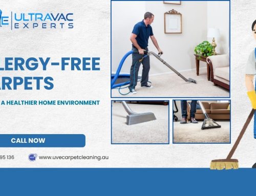Carpet Cleaning Advice for Allergy Sufferers