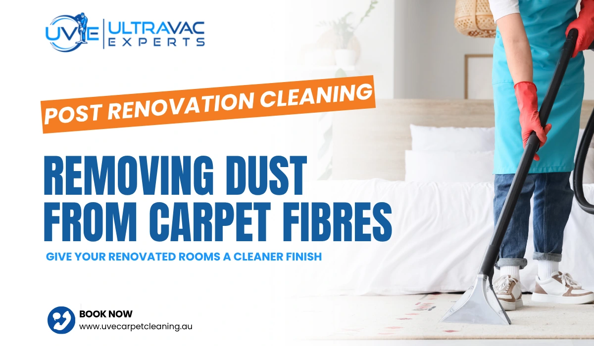 Removing Dust From Carpet Fibres